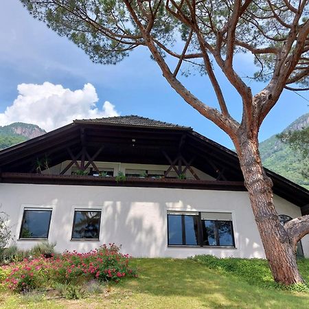 Villa Pinie Apt 1 Terlano Kültér fotó